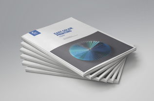 一希品牌設(shè)計 東方彩印公司文化宣傳冊設(shè)計